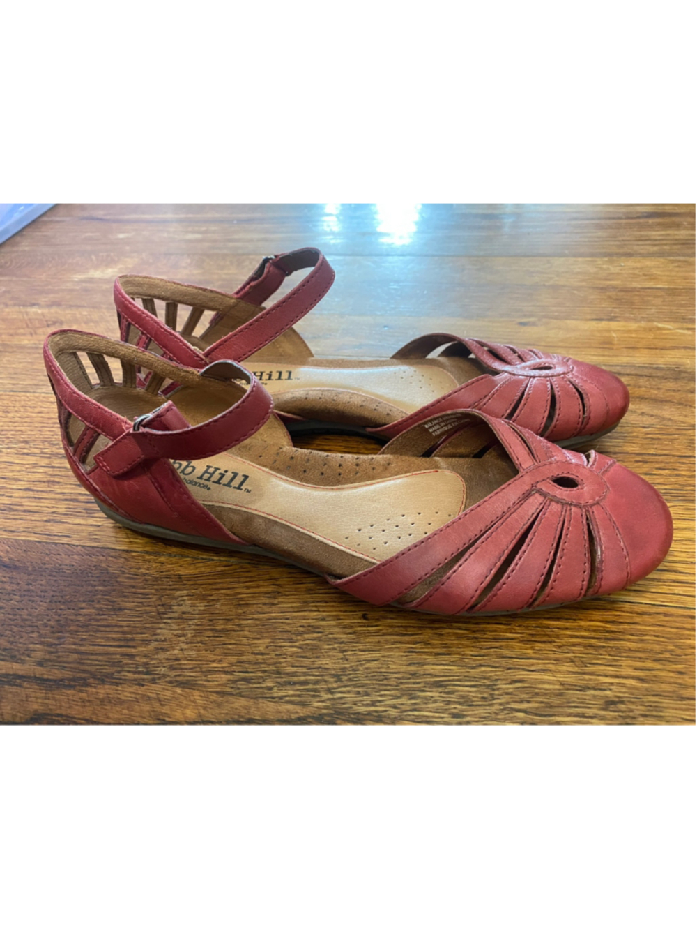 Cobb Hill Leather Mary Jane Flats Cutout Comfort 7.5 Artisan Coquette Academia